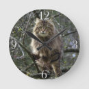 Recherche de fentes horloges Animaux