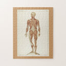 Recherche de anatomie puzzles Vintage