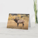 Recherche de bourrage vœux cartes Wapiti
