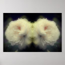 Recherche de com art Photographie