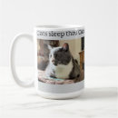 Recherche de chat blanc gris tasses Animal