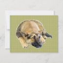 Recherche de allemand invitations Chiot