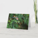Recherche de dragon de vol vœux cartes Voler