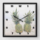 Recherche de fruits horloges Plante