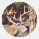 Recherche de photos numériques autocollants Nature