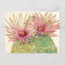 Recherche de fleurs roses cartes postales Tropical