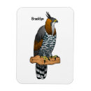 Recherche de aigle magnets Amérique
