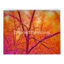 Zoek naar mooie kalenders Foto