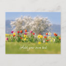 Recherche de fleurs de tulipe cartes postales Mother