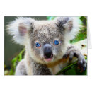 Zoek naar blues Schattig