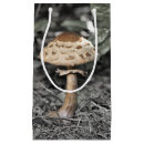 Recherche de champignons organiques Nature