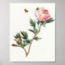 Recherche de abeille vintage art Floral