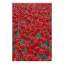 Recherche de parterre posters États unis