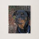 Zoek naar rottweiler puzzels Rottie