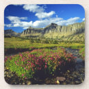 Recherche de singe dessous de verres Fleurs