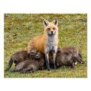 Recherche de foin posters Alimentation