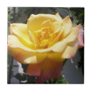 Recherche de joseph carreaux Fleurs