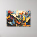Recherche de toile de papillon Illustration