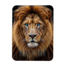 Recherche de tête de lion magnets Roi de la jungle