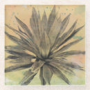 Recherche de plantes vertes dessous de verres Côtier