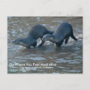 Recherche de loutres cartes postales Animaux