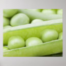 Recherche de nourritures posters Légumes