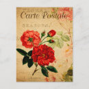 Recherche de rose rouge vintage cartes postales Français