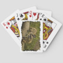 Recherche de racoon jeux de cartes Animal