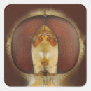 Recherche de parties du corps autocollants Biologie