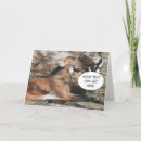 Zoek naar grappige wolven kaarten Dieren