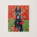 Zoek naar dobermann puzzels Hond