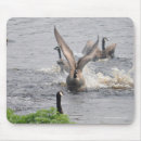 Recherche de le canada tapis souris Oiseau