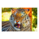 Recherche de rayure tigre art prédateur