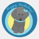 Recherche de chien caniche autocollants Anniversaire