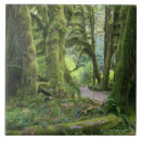 Zoek naar park tegels Mos