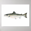 Recherche de pêche à la mouche posters Saumon