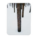 Recherche de contrastes magnets Dehors