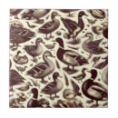 Recherche de oies carreaux Faune