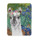 Recherche de llama magnets Fleurs