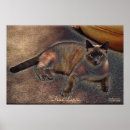 Zoek naar lave posters Kat