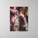 Zoek naar boomstam canvas prints Boomschors