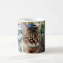 Recherche de beau chat tasses Blanc