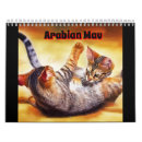 Zoek naar arabisch kalenders Katten