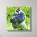 Recherche de gorille art Singes