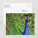 Recherche de poulailler cartes postales Volaille