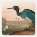 Zoek naar reiger stickers Kruid