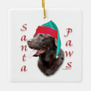 Recherche de labrador retriever ornements Chocolat