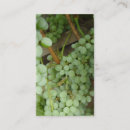 Recherche de raisins vigne cartes visite Vert