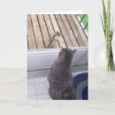 Recherche de chat gris vœux cartes Nature