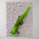 Zoek naar gekko posters Reptiel